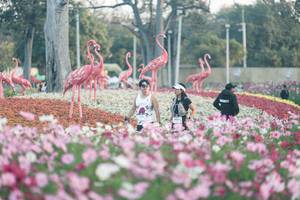 BIB: 
                            <button type="button" onclick="openModal(27343949)" class="btn btn-primary btn-sm float-right btn-popup" data-toggle="modal" data-target=".modal-high-quality">
                        <i class="fas fa-shopping-cart"></i> Add to Cart
                    </button>
                                            <button type="button" onclick="isThisMe(27343949, true)" class="btn btn-success btn-sm float-right btn-popup btn-isme hidden" data-toggle="tooltip" data-placement="bottom" title="นี่คือรูปของคุณใช่ไหม คลิกที่นี่เพื่อเอาเข้าอัลบั้ม">
                        <i class="fas fa-plus"></i> Add to album
                    </button>
                    <button type="button" onclick="isThisMe(27343949, false)" class="btn btn-warning btn-sm float-right btn-popup btn-isnotme hidden">
                        <i class="fas fa-ban"></i> Remove from album
                    </button>